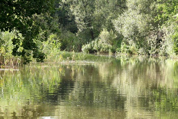 Dahmer Kanal Mecklenburgische Schweiz